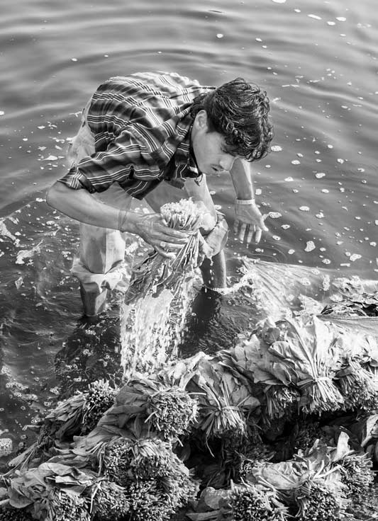 Men and Water Needs from Gender Perspective - Washing spinach for sale in South East district, National Capital Territory of Delhi